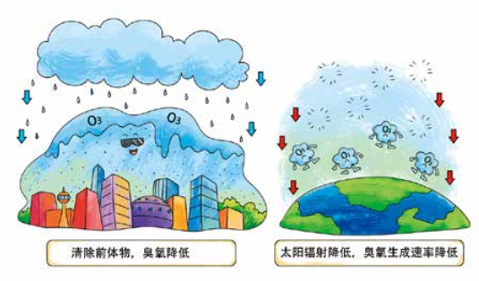臭氧知識科普（4） | 環(huán)境空氣臭氧會通過哪些方式從空氣中消除呢？降水、植樹可以嗎？